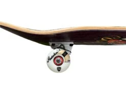 Dogtown Complete Proud Bird Ace Autobahn Pro 8.2 -Skateboard Series Store dogcom.1.pb .8.2 3