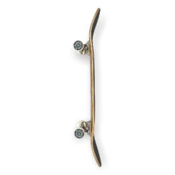 Eternal Complete Foliage Autumn (Pro) 8.25 -Skateboard Series Store etecom.pro .fa .8.25 2