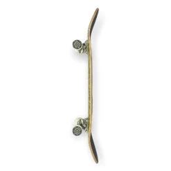 Eternal Complete Foliage Spring (Pro) 7.75 -Skateboard Series Store etecom.pro .fs .7.75 2