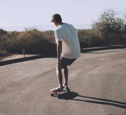 Hamboards Complete Biscuit 24 Inch Bomb Pop TKP -Skateboard Series Store ham.biscuit.06 1